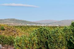 Сельскому поселению Снежное присвоено звание Чукотского автономного округа «Населенный пункт трудовой славы»