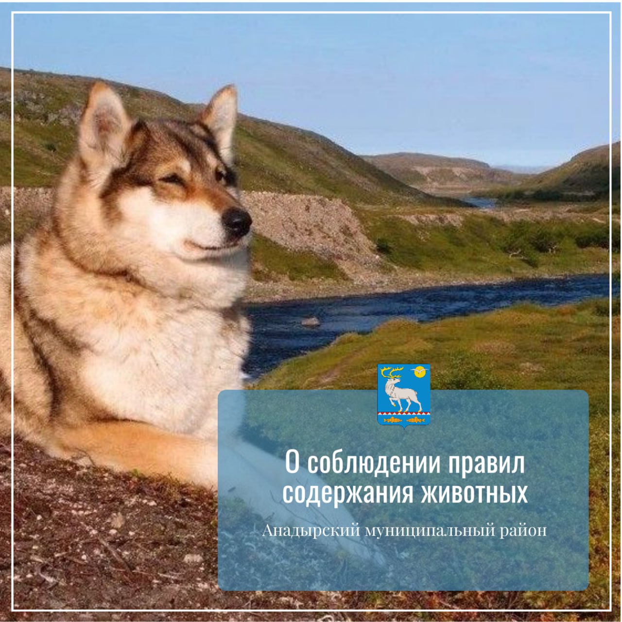 Уважаемые жители Анадырского муниципального района!